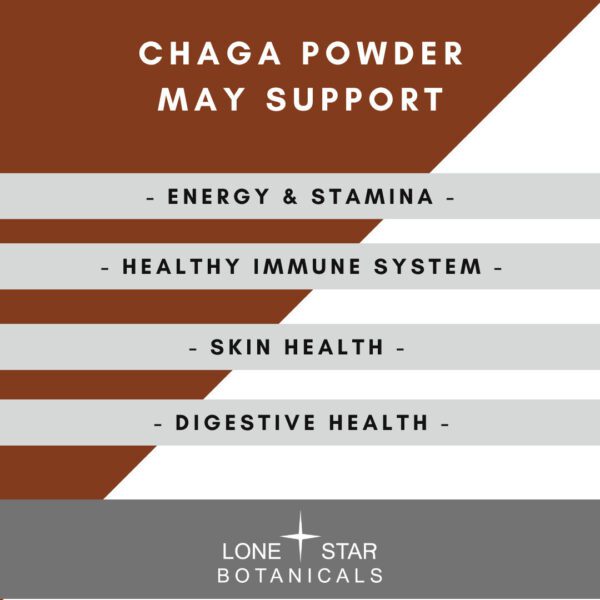 Chaga Mushroom Extract Powder - 100g - Image 4