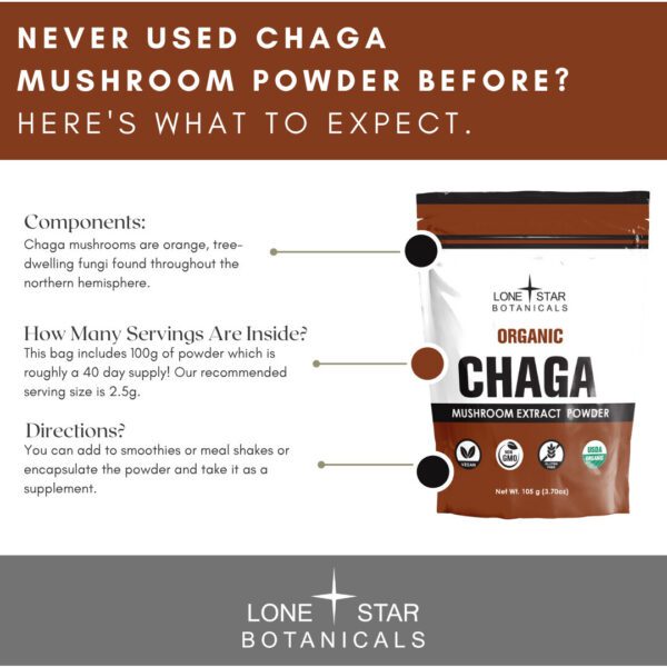 Chaga Mushroom Extract Powder - 100g - Image 5