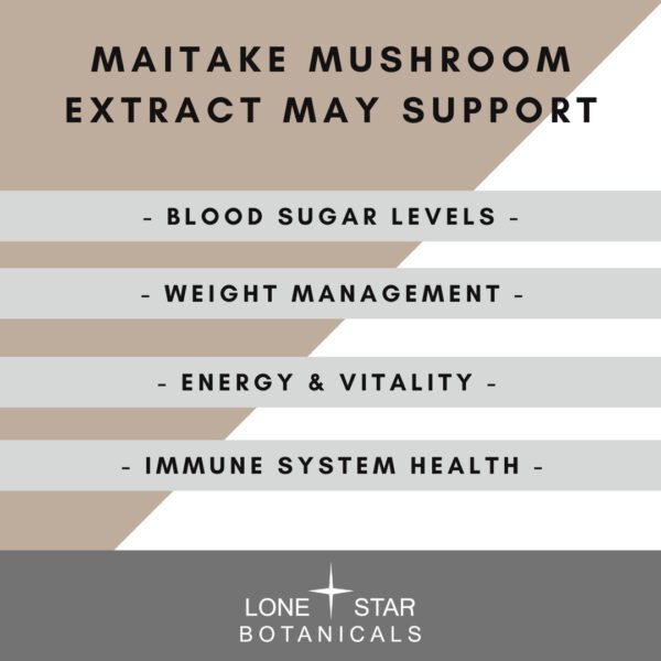 Maitake Mushroom Extract Powder - 100g - Image 4