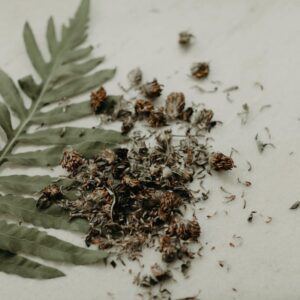 Red Clover Blossoms (Whole)