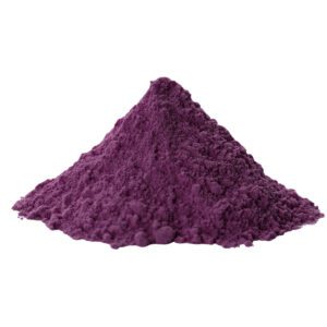 Elderberry Extract Powder - 1 pound