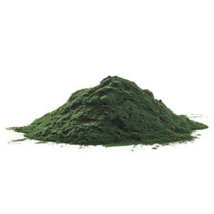 Green Spirulina Powder - 1 pound